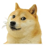 Memes, memes everywhere WhatsApp Sticker #13