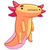 Mexican Axolotl WhatsApp Sticker #6