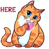 Meme Cats WhatsApp Sticker #11