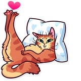 Meme Cats WhatsApp Sticker #12