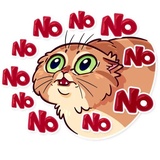 Meme Cats WhatsApp Sticker #17