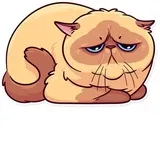 Sticker 19