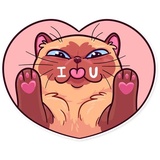Meme Cats WhatsApp Sticker #2