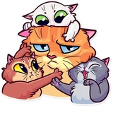 Meme Cats WhatsApp Sticker #20