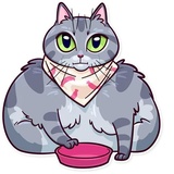 Meme Cats WhatsApp Sticker #26