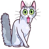 Meme Cats WhatsApp Sticker #4