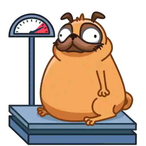 Sticker 15