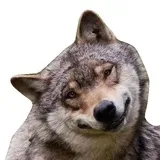 Sticker 41