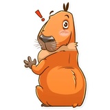 Mr. Capybara WhatsApp Sticker #12