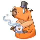 Mr. Capybara WhatsApp Sticker #14