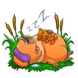Mr. Capybara WhatsApp Sticker #20