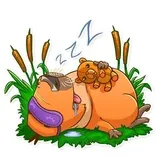 Sticker 20