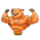 Mr. Capybara WhatsApp Sticker #22