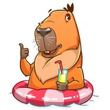 Mr. Capybara WhatsApp Sticker #3