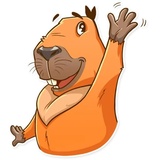 Mr. Capybara WhatsApp Sticker #5
