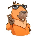 Mr. Capybara WhatsApp Sticker #6