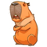 Mr. Capybara WhatsApp Sticker #8