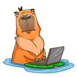 Mr. Capybara WhatsApp Sticker #9