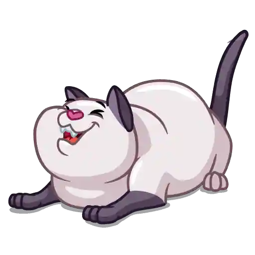 Mr Cat