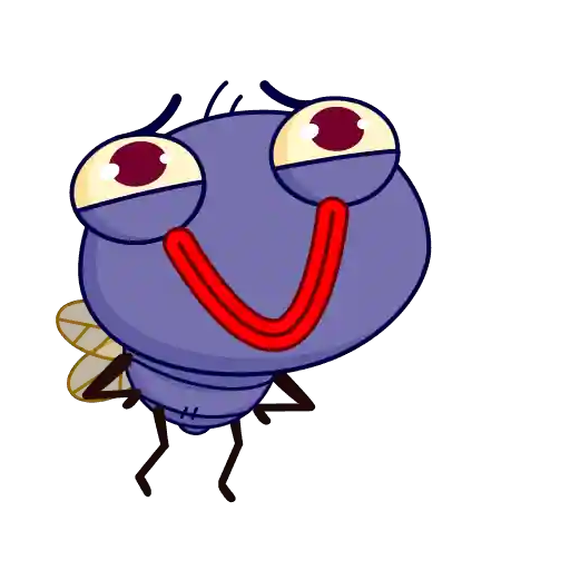 Mr Fly