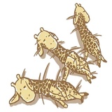 Mr. Giraffe WhatsApp Sticker #22