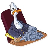 Mr. Gull WhatsApp Sticker #26