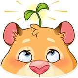 Mr. Hamster WhatsApp Sticker #17