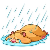 Mr. Hamster WhatsApp Sticker #19