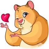 Mr. Hamster WhatsApp Sticker #2