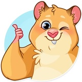Mr. Hamster WhatsApp Sticker #3