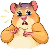 Mr. Hamster WhatsApp Sticker #4