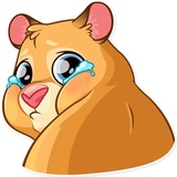 Mr. Hamster WhatsApp Sticker #7