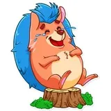 Meet the Hedgehog