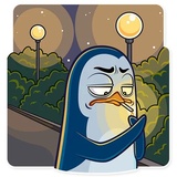 Mr. Penguin WhatsApp Sticker #11