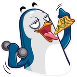 Mr. Penguin WhatsApp Sticker #24