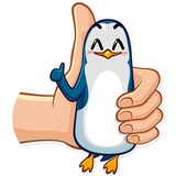 Mr. Penguin WhatsApp Sticker #3