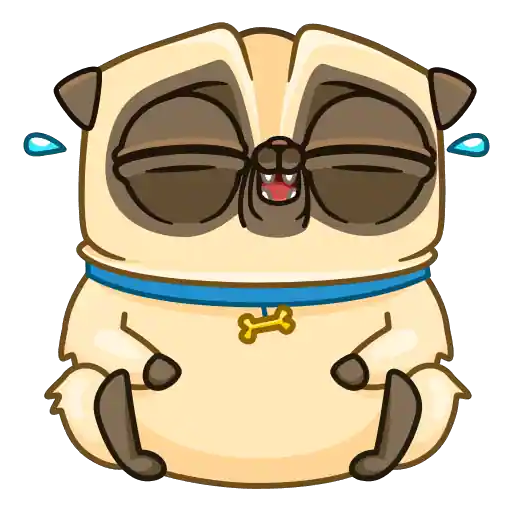 Penny Pug
