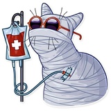 Salem WhatsApp Sticker #21