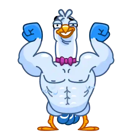 Sticker 15