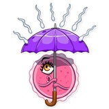 Mr.Zoid WhatsApp Sticker #17