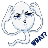 Mr.Zoid WhatsApp Sticker #27