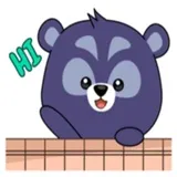 Mr. Cool Bear