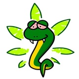 Mr. Snake WhatsApp Sticker #7