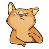 Doge WhatsApp Sticker #21