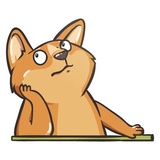 Doge WhatsApp Sticker #22