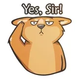 Sticker 25
