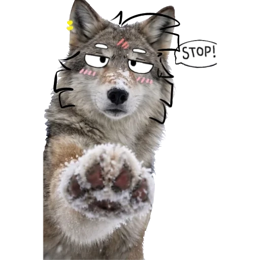 Sticker 8