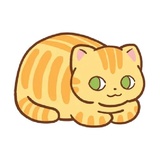 Orange Cat WhatsApp Sticker pack