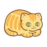 Orange Cat