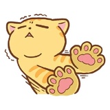 Orange Cat WhatsApp Sticker #10